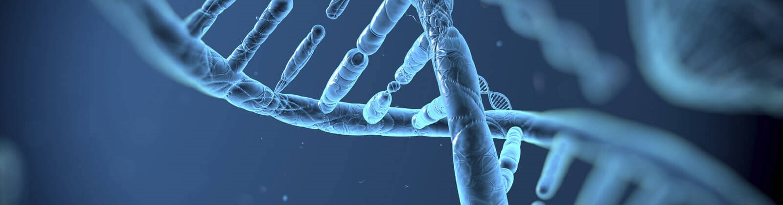 dna-molecule