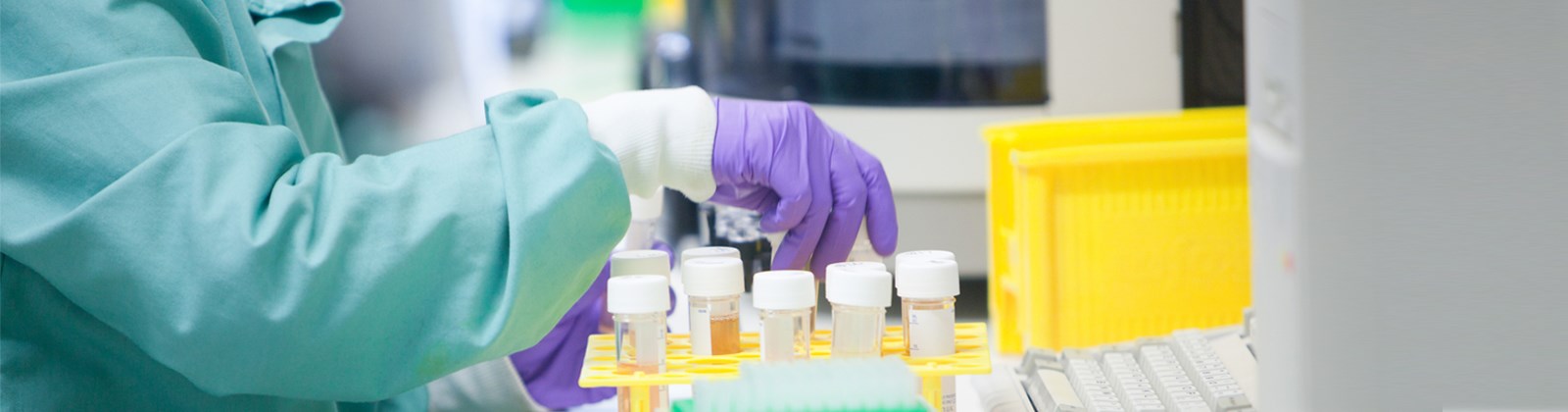 Lupus: the quest for a cure continues, hero