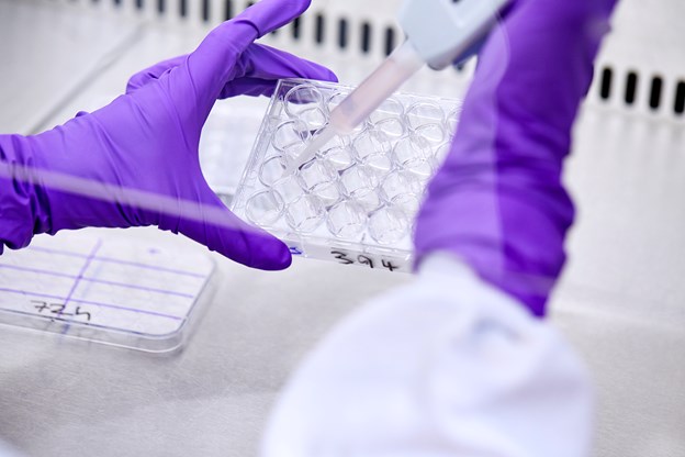 GSK lab - science