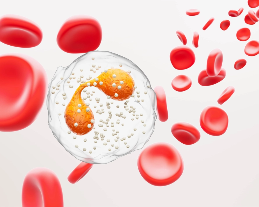 GSK Eosinophils RGB