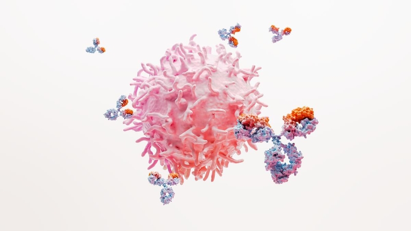 Lupus Science Image RGB 30957