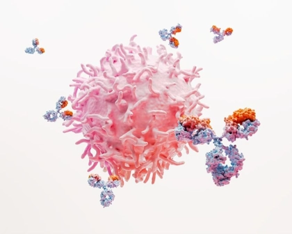 Lupus Science Image RGB 30957