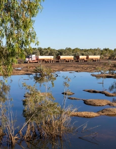 A riverbank with a truck in the background