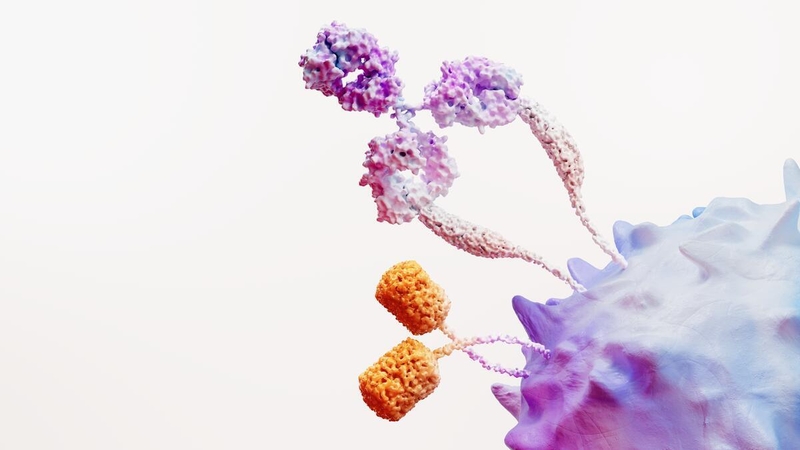 Immuno Oncology Science Image RGB 30979 Medium Res Comp