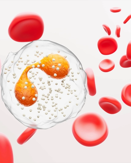 GSK Eosinophils RGB