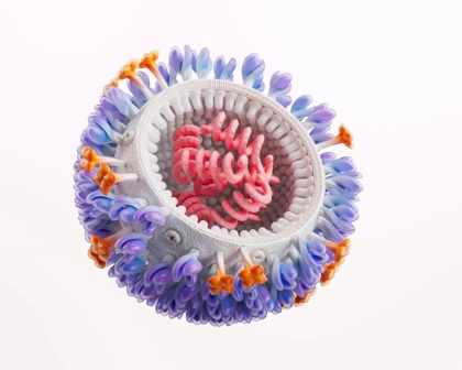 Infectious Diseases Image