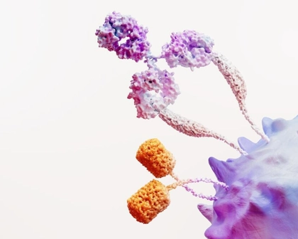 Immuno Oncology Science Image RGB 30979 Medium Res Comp